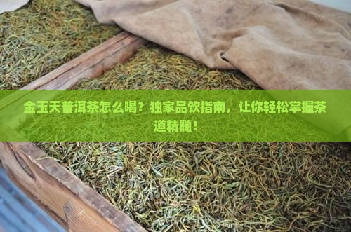 金玉天普洱茶怎么喝