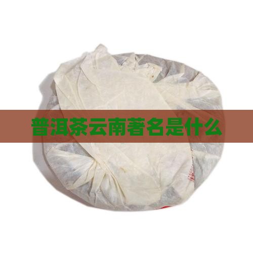 普洱茶云南著名品牌是什么