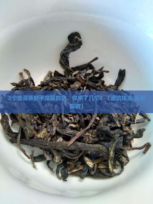 荟芯普洱茶价格表