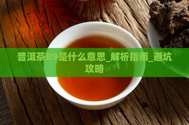 普洱茶B9是什么意思