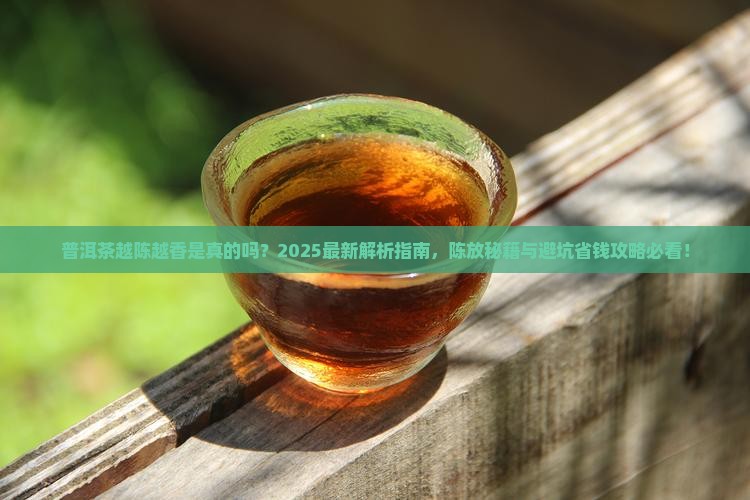 普洱茶放越久越合适吗吗