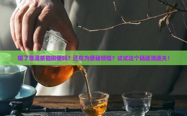喝了普洱茶能排便吗