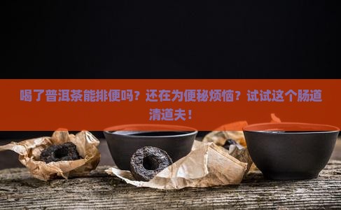 喝了普洱茶能排便吗