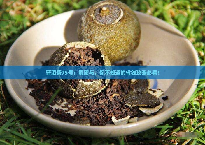 普洱茶75代表什么