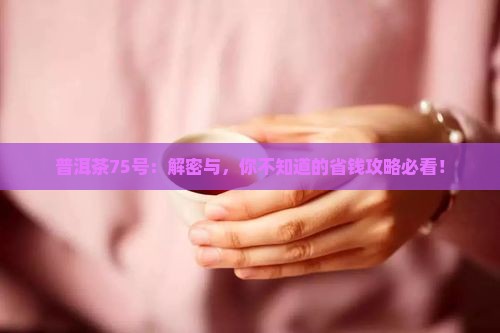 普洱茶75代表什么