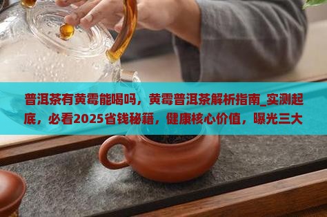 普洱茶有黄霉能喝吗