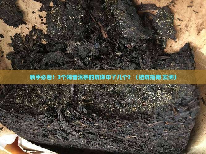 普洱茶口感一样吗吗
