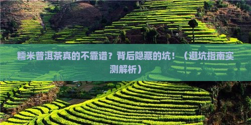 为什么说糯米普洱茶不好