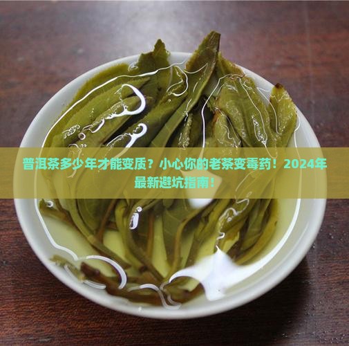 普洱茶多少年才能变质