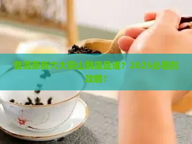 普洱茶新六大茶山是哪几个