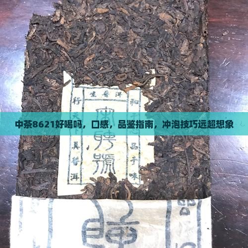 中茶8621好喝吗