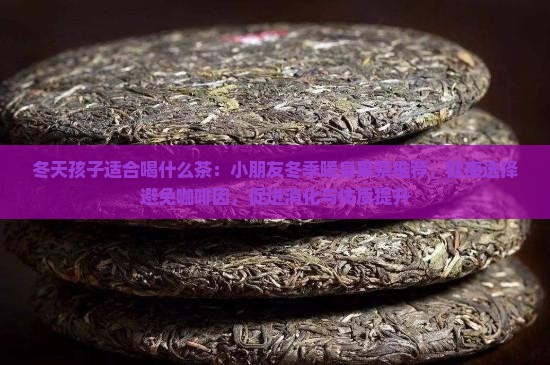 冬天孩子适合喝什么茶