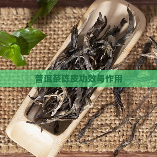普洱茶陈皮功效与作用