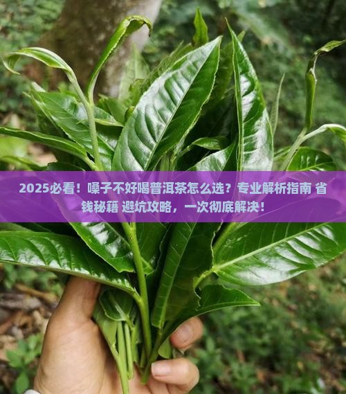 嗓子不好喝什么普洱茶好点