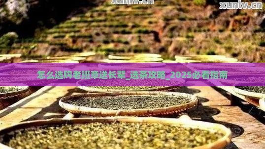 怎么选购老班章送长辈