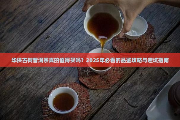 华供古树普洱茶