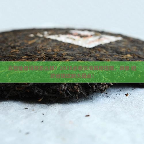 五茗仙普洱茶怎么样