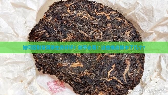 如何区别普洱茶生茶好坏