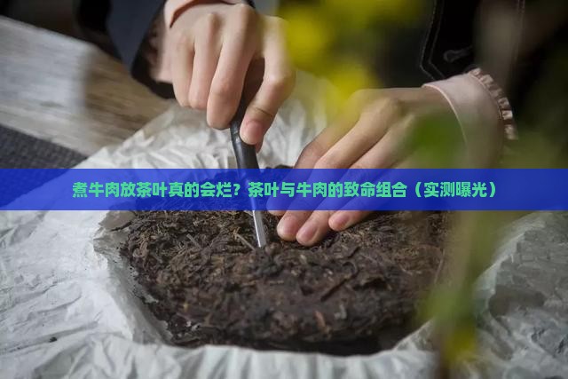 煮牛肉放茶叶容易烂的原理