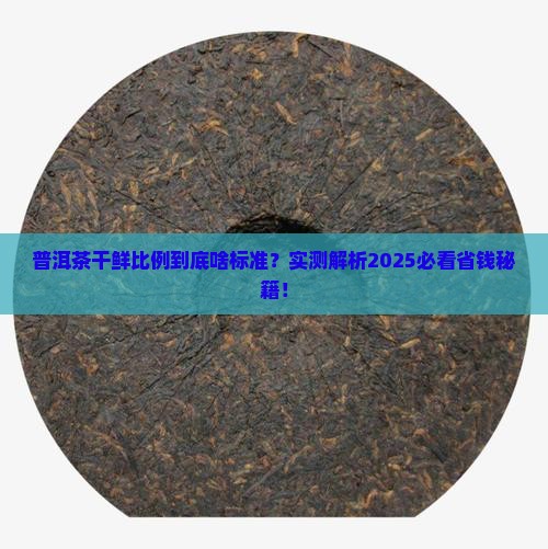 普洱茶的干鲜比例是多少