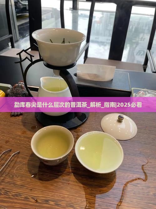 勐库春尖是什么层次的普洱茶