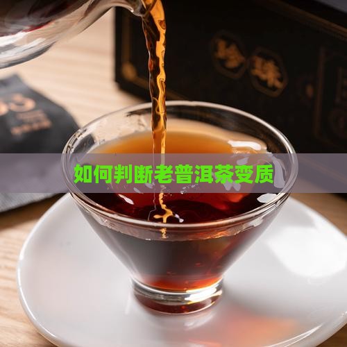 如何判断老普洱茶变质