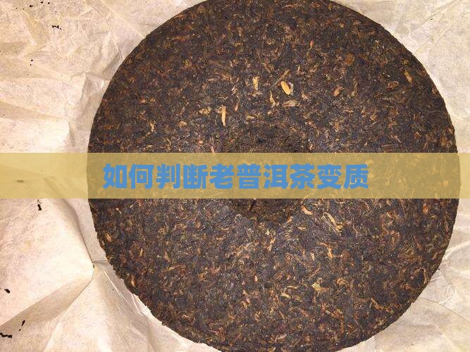 如何判断老普洱茶变质