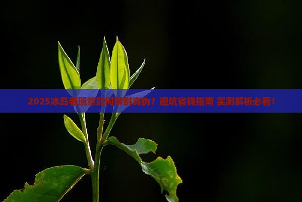 冰岛老班章怎么辨别