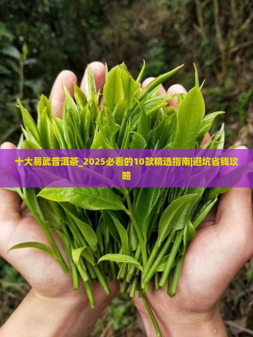 十大易武普洱茶