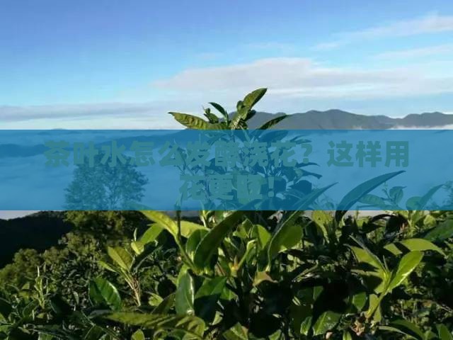 茶叶水怎么发酵浇花 茶叶水怎么发酵浇花