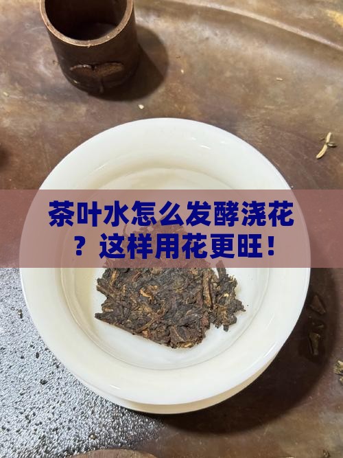 茶叶水怎么发酵浇花 茶叶水怎么发酵浇花