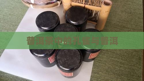 普洱茶中大象与孔雀