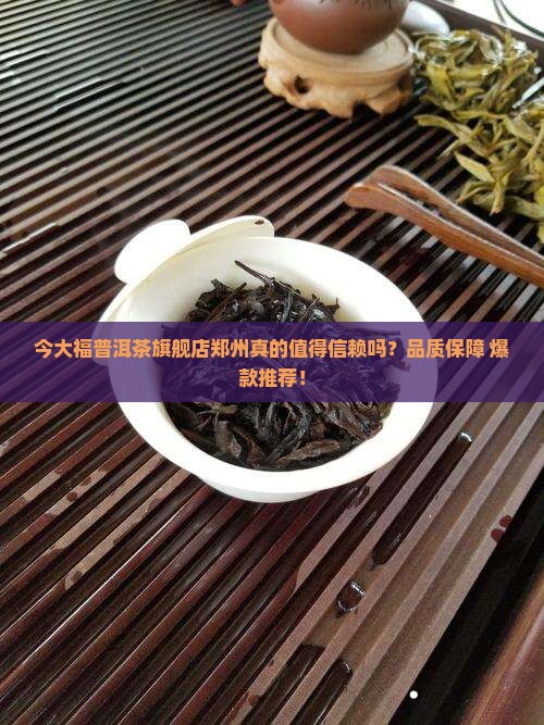 今大福普洱茶旗舰店郑州
