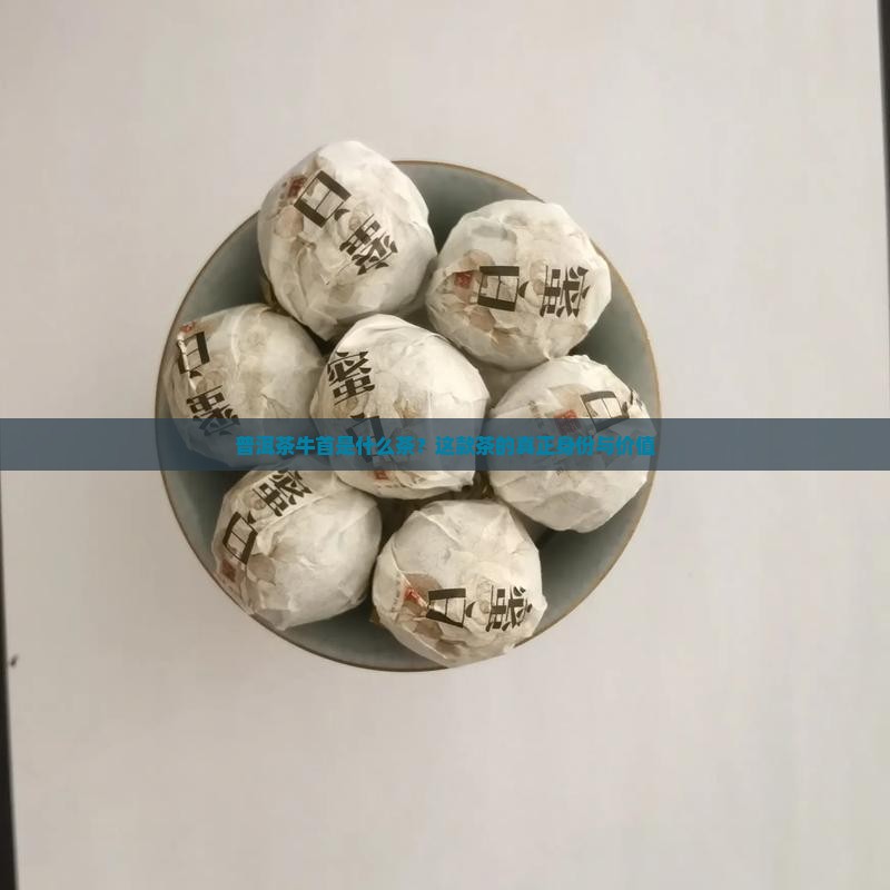 普洱茶牛首是什么茶 普洱茶牛首是什么茶