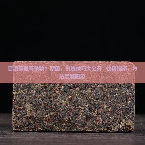 普洱茶里有杂物