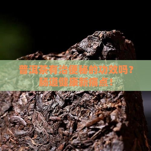 普洱茶有治便秘的功效吗