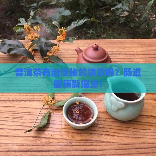 普洱茶有治便秘的功效吗