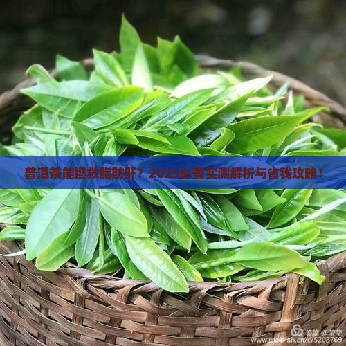 普洱茶适合脂肪肝吗