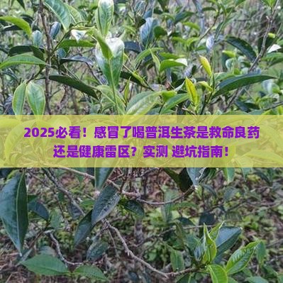 感冒了能喝普洱生茶吗