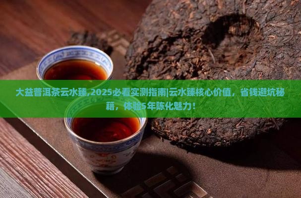 大益普洱茶云水臻