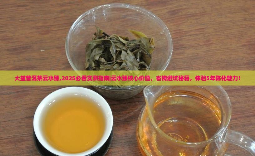 大益普洱茶云水臻