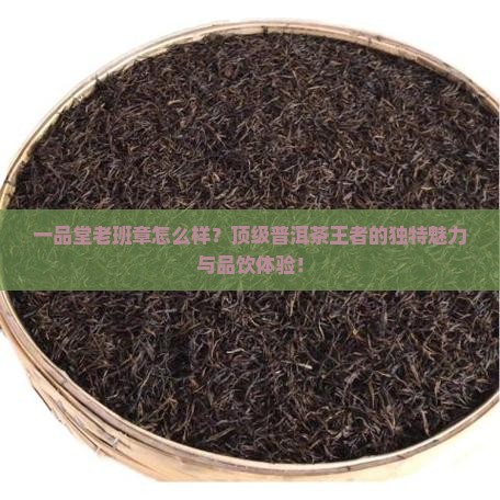 一品堂老班章怎么样