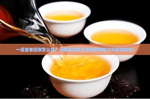 一品堂老班章怎么样