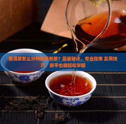 普洱茶怎么分辨陈茶新茶
