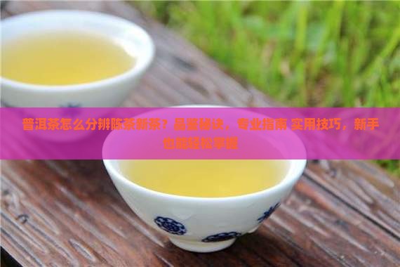 普洱茶怎么分辨陈茶新茶