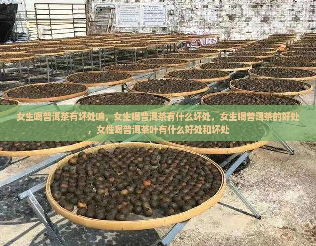 女生喝普洱茶有坏处嘛