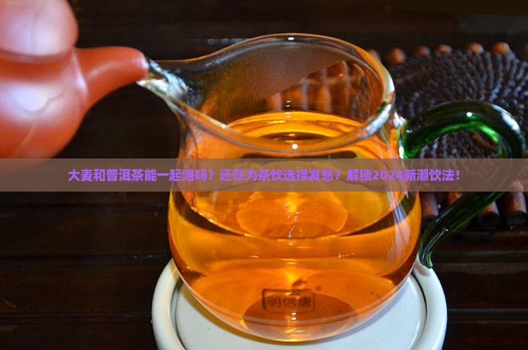 大麦和普洱茶能一起泡吗