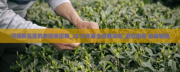 河源有品质的老班章招商