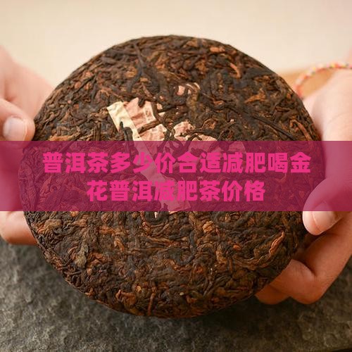 普洱茶多少价合适减肥喝