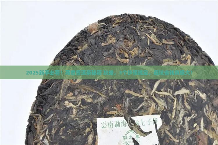 蒸煮普洱茶的做法大全